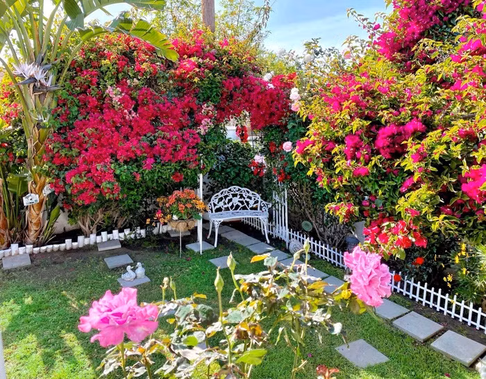 Nghĩ là làm, cô Chi bắt tay vào cải tạo mảnh đất rộng sau nhà, thiết kế từng góc nhỏ trong vườn theo ý thích. Dù diện tích vườn rộng nhưng nữ gia chủ vẫn quyết định tự làm mọi thứ thay vì thuê thợ để sáng tạo không gian theo đúng ý muốn và hạn chế chi phí do giá nhân công ở Mỹ rất cao.