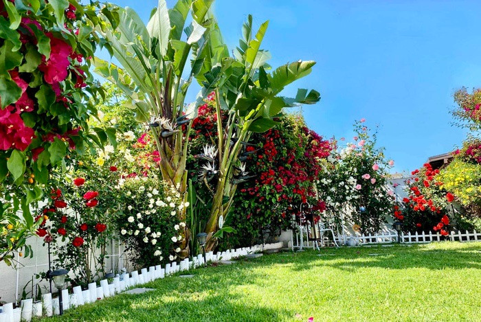 Để việc chăm sóc vườn hiệu quả và thuận tiện, cô Chi cũng ưu tiên trồng các loại cây, hoa phù hợp với điều kiện thời tiết tại nơi sinh sống. Cô cho hay, cây mới mua về chưa thể trồng ngay được mà phải nuôi cho cây mọc tốt mới đem trồng. Khi cây bệnh, cô cũng miệt mài tìm hiểu qua sách vở, mạng internet xem cách chữa trị và khắc phục ra sao.