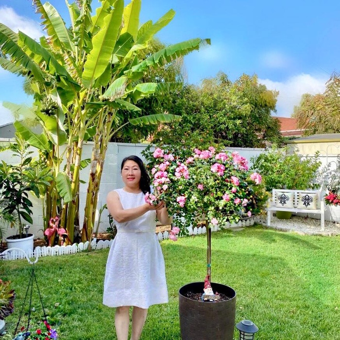 Từ một người tay ngang “bén duyên” với đam mê trồng trọt, sau vài năm, cô Chi “dắt túi” được nhiều kinh nghiệm, tự tin chăm sóc khu vườn mơ ước của mình. Khu vườn không chỉ cung cấp thực phẩm sạch giúp cô Chi cải thiện các bữa ăn lành mạnh và giàu dinh dưỡng hàng ngày cho gia đình mà còn là nơi các thành viên giải tỏa căng thẳng cũng như tiếp đón bạn bè, người thân ghé chơi. 