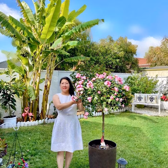 Từ một người tay ngang “bén duyên” với đam mê trồng trọt, sau vài năm, cô Chi “dắt túi” được nhiều kinh nghiệm, tự tin chăm sóc khu vườn mơ ước của mình. Khu vườn không chỉ cung cấp thực phẩm sạch giúp cô Chi cải thiện các bữa ăn lành mạnh và giàu dinh dưỡng hàng ngày cho gia đình mà còn là nơi các thành viên giải tỏa căng thẳng cũng như tiếp đón bạn bè, người thân ghé chơi. 