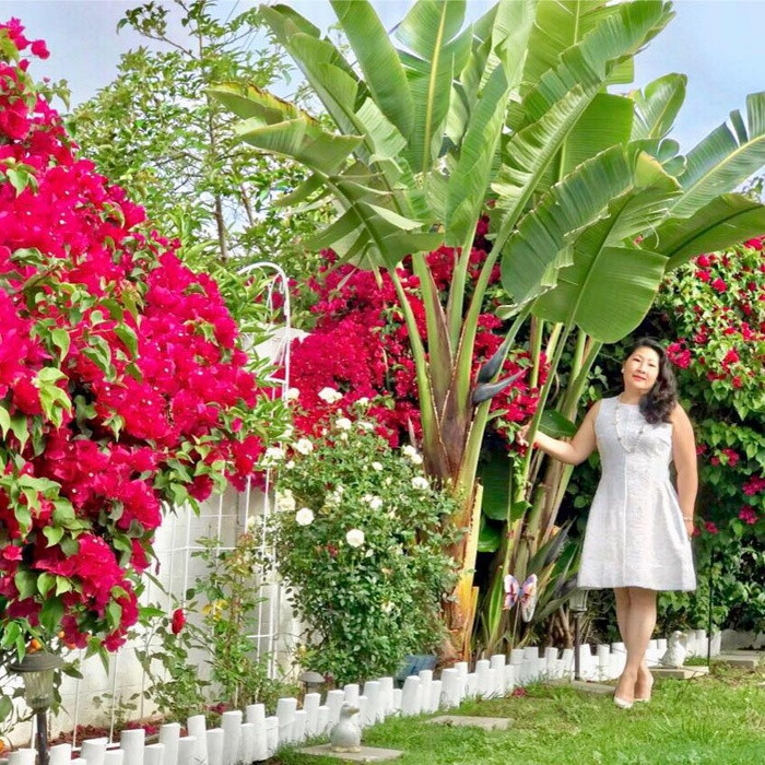 Cô Chi Ramirez (tên thật là Cao Quỳnh Chi, 60 tuổi) hiện đang sống cùng gia đình tại thành phố Los Angeles, bang California, Mỹ. Cách đây 8 năm, khi cùng chồng sang Mỹ định cư và mua nhà, cô Chi nghĩ ngay đến việc làm vườn, tạo không gian xanh mát thư giãn tại gia mà bản thân ấp ủ từ lâu. Người phụ nữ Việt hi vọng khu vườn không chỉ là nơi thỏa mãn thú vui điền viên sau khi về hưu mà còn cung cấp nguồn thực phẩm sạch và phần nào vơi bớt nỗi nhớ quê nhà luôn thường trực trong lòng.