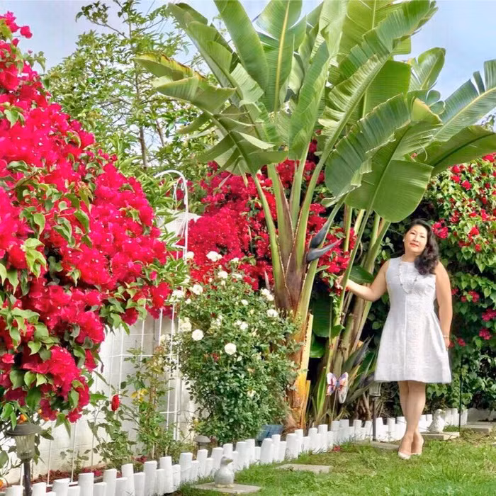 Cô Chi Ramirez (tên thật là Cao Quỳnh Chi, 60 tuổi) hiện đang sống cùng gia đình tại thành phố Los Angeles, bang California, Mỹ. Cách đây 8 năm, khi cùng chồng sang Mỹ định cư và mua nhà, cô Chi nghĩ ngay đến việc làm vườn, tạo không gian xanh mát thư giãn tại gia mà bản thân ấp ủ từ lâu. Người phụ nữ Việt hi vọng khu vườn không chỉ là nơi thỏa mãn thú vui điền viên sau khi về hưu mà còn cung cấp nguồn thực phẩm sạch và phần nào vơi bớt nỗi nhớ quê nhà luôn thường trực trong lòng.