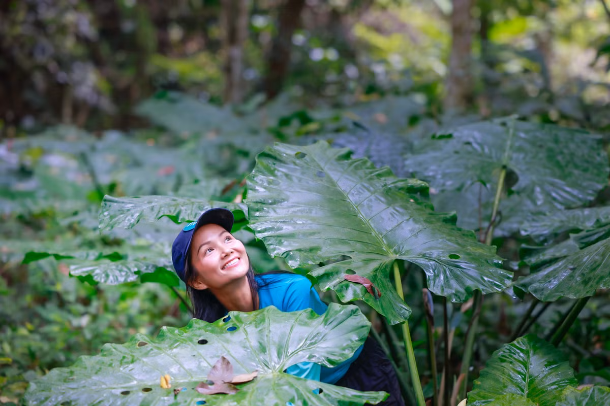 Trước đó, trong dịp kỷ niệm 5 năm đăng quang Hoa hậu Hoàn vũ Việt Nam, H’Hen Niê cam kết dùng toàn bộ tiền kiếm được trên Facebook để trồng 5 ha rừng. Hiện H’Hen Niê đã hoàn thành xong dự án trồng rừng của mình. 