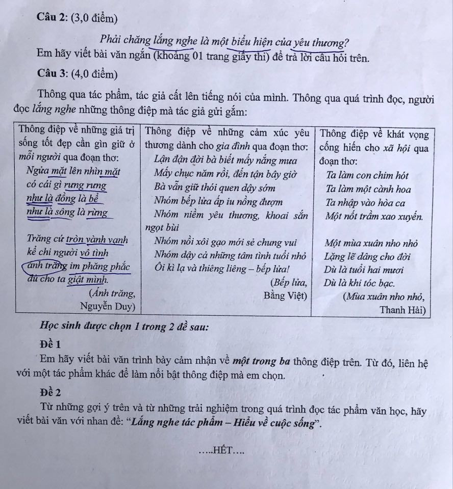 De lop 10 mon Ngu van o TP.HCM de cap den COVID-19-Hinh-2