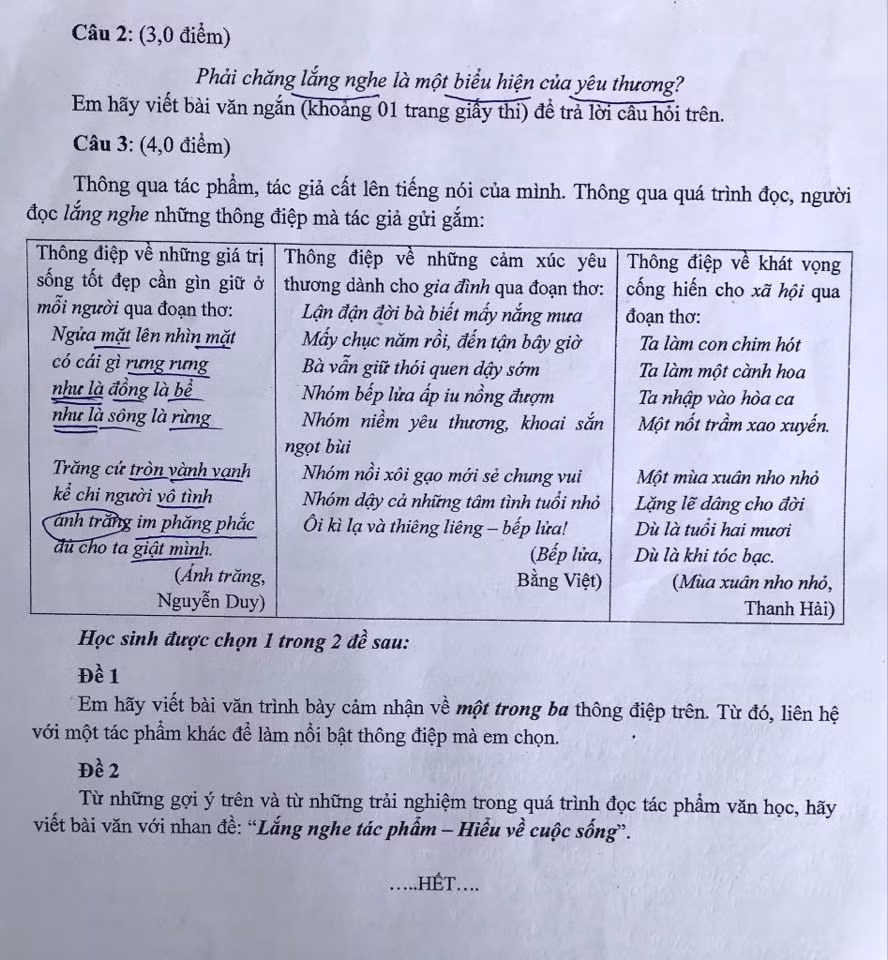 De lop 10 mon Ngu van o TP.HCM de cap den COVID-19-Hinh-2