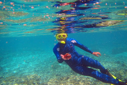 Du khách Trung Quốc lặn bắt sinh vật biển ở Hoàng Sa. Ảnh: cmfish.com