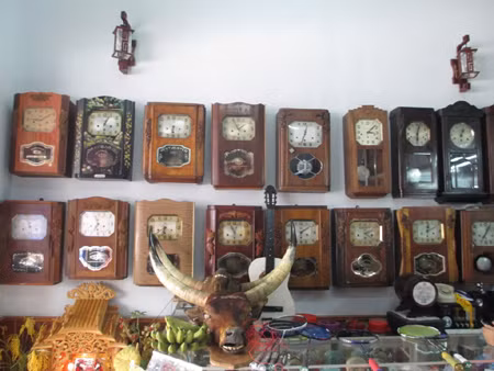 Ông Tâm cho biết: Hầu hết số đồng hồ của tôi có nguồn gốc từ các nước phương Tây như: Đức, Pháp, Nga, Ý, Thụy Sĩ, Hà Lan... Trong số đó, có những chiếc đồng hồ có tuổi đời trên dưới trăm năm như bộ đồng hồ cổ của Đức; đồng hồ hiệu ODO của Pháp...