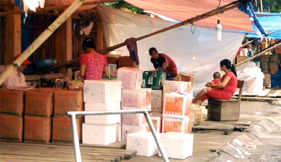 Ở chợ Thổ Tang, người mua kẻ bán không phải tìm cách đối phó "đổi quốc tịch" cho các mặt hàng nông sản Trung Quốc. Họ bày bán công khai. Những thùng carton khoét lỗ tròn xung quanh chứa toàn hoa quả, nông sản; những bao tải bên ngoài toàn chữ Trung Quốc xếp đầy các kho hàng, tràn ra khắp vỉa hè trên phố ngoài khu vực cổng chợ.