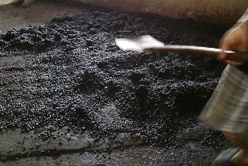 Đậu nành sau khi trộn màu được đổ la liệt ra đất