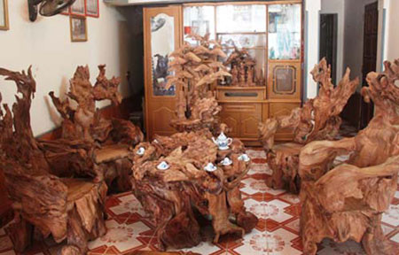 Có một số thông tin cho rằng gỗ ngọc am có độc tính, tuy nhiên trên một số tờ báo lại cho rằng gỗ này rất tốt, có nhiều công dụng và đem lại lợi ích về mặt phong thủy và tâm linh cho ngôi nhà chủ nhân.