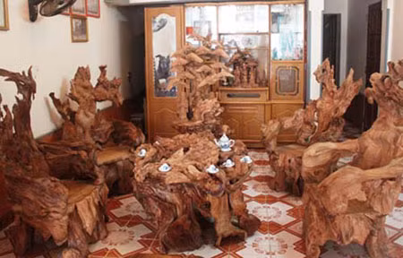 Có một số thông tin cho rằng gỗ ngọc am có độc tính, tuy nhiên trên một số tờ báo lại cho rằng gỗ này rất tốt, có nhiều công dụng và đem lại lợi ích về mặt phong thủy và tâm linh cho ngôi nhà chủ nhân.