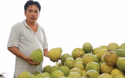 "Vua bưởi Hà thành" - Nguyễn Hữu Thiện