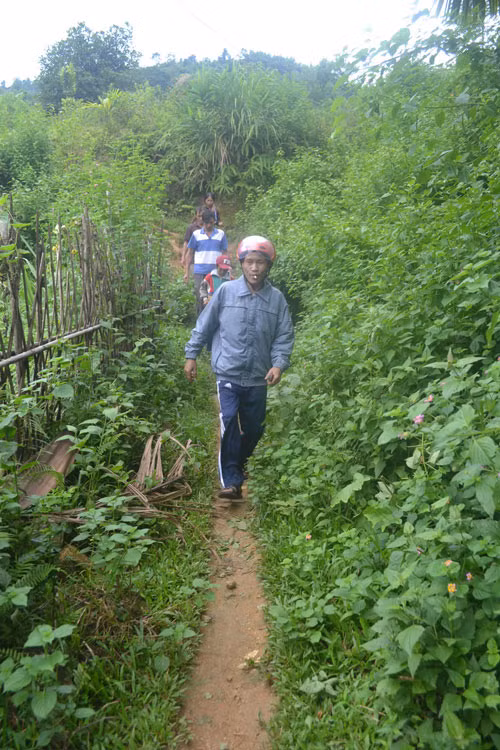 Dáng người hơi khom và đi rất nhanh, nhất là nỗi nhớ rừng, vẫn thường trực trong người anh Lang