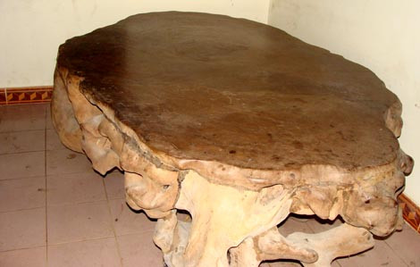 Một phần gốc gỗ hương được ông Đức dùng làm giường ngủ.