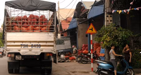 Tại khu vực chợ Hòa Đình, những kho nông sản Trung Quốc mọc san sát nhau kéo dài cả con phố. Xe tải lớn nhỏ từ khắp các tỉnh trong Nam, ngoài Bắc về lấy hàng suốt ngày đêm với khối lượng hàng xuất đi, với trung bình khoảng hơn 500 tấn mỗi ngày.