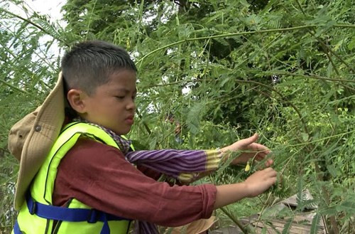Công việc hái bông điên điển khá vất vả khiến các nhóc tì mệt bơ phờ. Tuy vậy, cuối cùng Bo, Bờm, Suti và Tê Giác cũng hoàn thành nhiệm vụ.