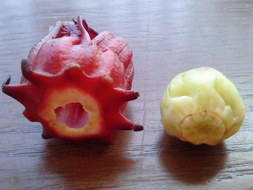 Tách riêng phần cánh và phần nhụy