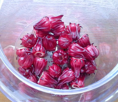 Khi cánh hoa đã khô nước thì mang ngâm với đường. Lưu ý là lọ dùng để ngâm phải rửa sạch, lau khô tránh dính nước lã vào. Bạn cho lớp hoa vào trước.