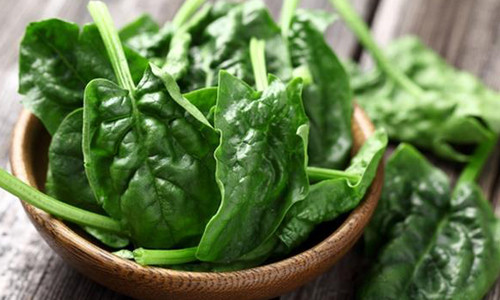 Não. Rau cải bó xôi chứa nhiều carotene và enzyme superxide dismutase. Đây là những chất có tác dụng ngăn ngừa bệnh mạch máu não và bảo vệ não. Ngoài rau cải bó xôi, bạn cũng có thể dùng tỏi tây, hành tây, đậu Hà Lan, cà chua, cà rốt, bắp cải, đậu, quả óc chó, đậu phộng, hạt điều, hạt thông, hạnh nhân để giúp bảo vệ não.