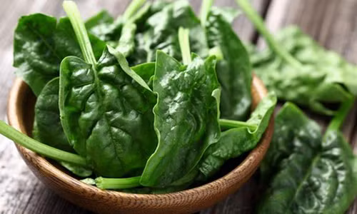 Não. Rau cải bó xôi chứa nhiều carotene và enzyme superxide dismutase. Đây là những chất có tác dụng ngăn ngừa bệnh mạch máu não và bảo vệ não. Ngoài rau cải bó xôi, bạn cũng có thể dùng tỏi tây, hành tây, đậu Hà Lan, cà chua, cà rốt, bắp cải, đậu, quả óc chó, đậu phộng, hạt điều, hạt thông, hạnh nhân để giúp bảo vệ não.