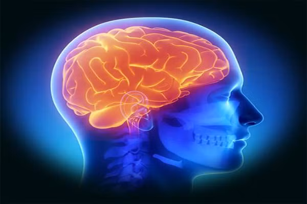 Khi tập thể dục, não của con người sẽ sản sinh ra những chất tăng cường sức khỏe thần kinh và cải thiện khả năng làm việc, học tập. Tập thể dục sẽ khiến cơ thể tăng mức độ lưu thông máu, oxy sẽ đến não nhiều hơn để giúp cho não bạn làm việc nhanh và hiệu quả hơn. Điều này sẽ làm giảm nguy cơ rối loạn dẫn đến mất trí nhớ.