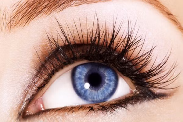 2. Cho bạn một làn mi cong, dài và dày hơn. Vaseline bảo vệ nuôi dưỡng lông mi. Mỗi tối, bạn thoa vaseline vào lông mi trước khi đi ngủ, cách này sẽ giúp lông mi dày, dài và đen hơn. Nhớ rằng, sáng sớm ngủ dậy phải rửa mắt thật sạch để dư thừa của kem không vào mắt. Đối với những đôi mắt nhạy cảm, không làm theo cách này.