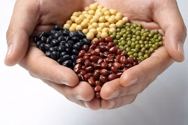 4. Tất cả các hợp chất carbs chỉ nên mua loại 100 phần trăm nguyên hạt. Đây có lẽ là quy tắc đơn giản nhất để làm theo và có lợi nhất cho sức khỏe của bạn. Đơn giản, các bà nội trợ chỉ cần tìm kiếm loại nhãn hàng có chữ 100% nguyên hạt và giảm thiểu hết mức các thành phần phụ gia, nó sẽ không nguy hại đến nguy cơ mắc bệnh tim, tiểu đường và tăng cân.