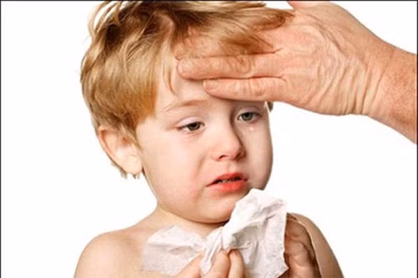 Trong cơ thể, Vitamin B2 có nhiều vai trò quan trọng. Nó là thành phần chủ yếu các menoxydase, trực tiếp tham gia vào các phản ứng oxy hóa hoàn nguyên, khống chế các phản ứng hô hấp chuyển hóa của tế bào. Do vậy, khi bé được cung cấp đầy đủ loại vitamin này, hơi thở của bé cũng tự điều chỉnh nhiệt độ lạnh bên ngoài làm ổn định hơn.