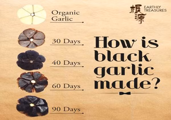 Tỏi đen được chế biến từ tỏi tươi sau khi trải qua quá trình lên men chậm trong điều kiện quản lý chặt chẽ về nhiệt độ và độ ẩm. Tỏi đen có thể làm giảm sự lão hóa của cơ thể, chống lại nhiều loại bệnh.