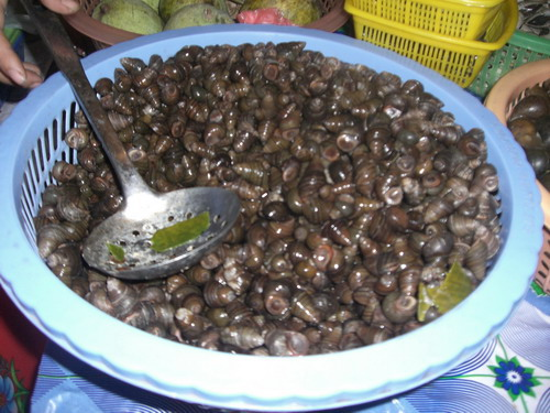 Với ốc. Ốc ngon có mày nằm sát bên ngoài, khi đụng tay vào, mày khép lại. Ngược lại, mày thụt sâu vào trong là ốc không ngon. Ốc có mùi khó chịu là ốc chết