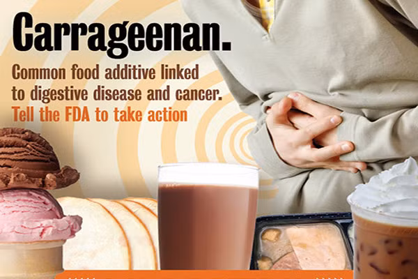 Chất phụ gia carrageenan. Là một loại phụ gia thực phẩm sử dụng như chất làm đặc hoặc ổn định trong những sản phẩm như sữa đậu nành, kem, pho mát, bánh mì, ngũ cốc, salad trộn, nước sốt và một số đồ ăn nhanh khác.