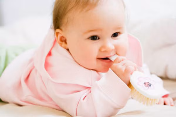 Động tác nhai giúp trẻ tiết nước bọt - chính là men tiêu hoá chất bột đường giúp trẻ ăn ngon miệng và nó cũng giúp phát triển xương hàm của trẻ, sau này cung hàm không bị hẹp để khi thay răng, trẻ không bị răng mọc lệch.