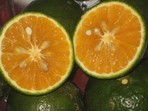 Cam. Cam chứa nhiều vitamin C, có tác dụng như một chất chống oxy hóa, bảo vệ các tế bào cơ thể khỏi tác động của các gốc tự do. Hơn nữa, vitamin C cũng giúp củng cố collagen, tăng cường sức khỏe làn da.