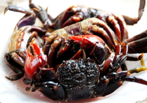 Mắm ba khía. Mắm này được làm chủ yếu từ con ba khía, một loài họ cua có càng to, đặc trưng ở vùng Nam Bộ, sống tập trung ở vùng nước lợ, mặn, trải từ Cần Thơ đến Sóc Trăng, Cà Mau, nhiều nhất ở U Minh. Loại mắm này thường ăn với cơm như các món mắm Việt Nam khác, phần nước trộn giàu đạm có thể dùng làm nước chấm.