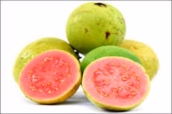 Ổi là một sự lựa chọn tuyệt vời cho bệnh nhân tiểu đường. Nó có sự kết hợp hoàn hảo giữa hàm lượng GI và glucozo thấp giữ cho lượng đường trong máu ổn định và duy trì năng lượng cơ thể. Ổi cũng là loại quả chống oxy hóa tuyệt vời, đặc biệt là vitamin C gấp bốn lần quả cam.