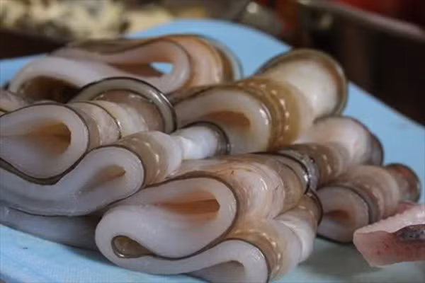 Với thời tiết này, mẹ cần hạn chế những thực phẩm có tính hàn trong thực đơn của con. Những thực phẩm điển hình có tính hàn như dưa hấu, củ cải, rau câu, lươn, nghêu sò. Ngược lại, mẹ có thể thay bằng những loại như thực phẩm có tác dụng ôn nhiệt như hành, hẹ, tỏi, ớt, thịt.