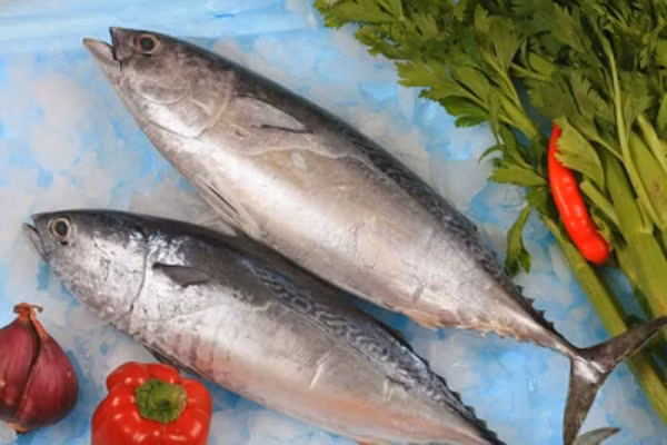 Thủy ngân. Nếu mẹ tin chắc, ăn cá an toàn hơn nhiều loại thịt, nên tránh những loại cá chứa nhiều thủy ngân như cá kình, cá kiếm, cá mập, cá ngừ. Hãy chuyển sang các loại cá hồi, cá thu hay cá da trơn vì nó có lượng thủy ngân thấp hơn.