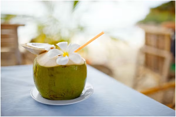 Khâu chọn nước dừa cho con cũng rất quan trọng, mẹ nên chọn những quả dừa non và mới hái. Không nên mua những trái dừa vỏ đã chuyển sang màu vàng nâu hoặc dừa đã gọt sẵn vỏ ngoài.