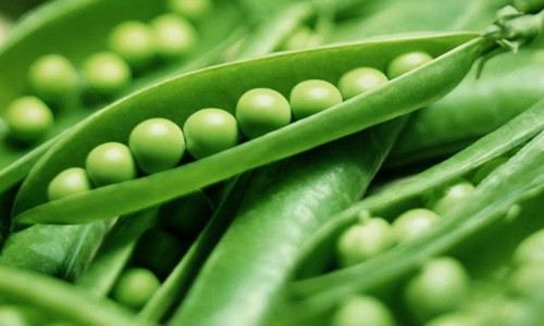 Đậu Hà Lan. Đậu Hà Lan là một nguồn tuyệt vời của vitamin C, sắt và mangan. Đậu Hà Lan có chứa axit folic và vitamin B6, kali. Thường xuyên ăn đậu Hà Lan có thể giúp bảo vệ mắt khỏi sự phát triển thoái hóa điểm vàng và đục thủy tinh thể.