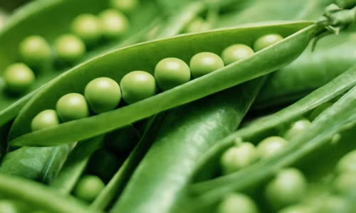 Đậu Hà Lan. Đậu Hà Lan là một nguồn tuyệt vời của vitamin C, sắt và mangan. Đậu Hà Lan có chứa axit folic và vitamin B6, kali. Thường xuyên ăn đậu Hà Lan có thể giúp bảo vệ mắt khỏi sự phát triển thoái hóa điểm vàng và đục thủy tinh thể.