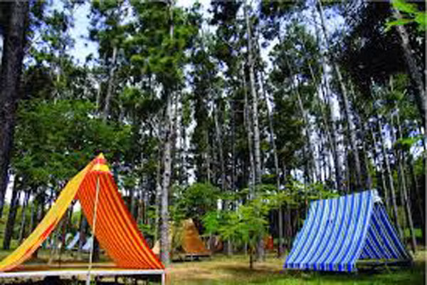 Sống xa đô thị có thể giúp đồng hồ sinh học hoạt động lại bình thường. Trong một nghiên cứu nhỏ của trường Đại học Colorado tại Boulder, chuyến đi cắm trại kéo dài một tuần có thể thiết lập lại nhịp sinh học đang rối tung của bạn. Địa điểm cắm trại của bạn chắc chắn sẽ ở ngoài trời và đương nhiên điều đó sẽ giúp đồng hồ sinh học quen với mặt trời mọc và mặt trời lặn hơn.