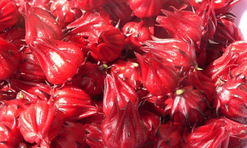 Hoa Atisô đỏ mua về rửa sạch, bạn nên chọn những bông cánh to, dài và không bị dập nát.