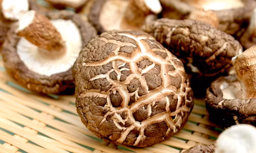 Nấm. Nấm được coi là thực phẩm hỗ trợ hiệu quả cho hệ miễn dịch. Trong nấm có chứa tới 90% nước nên nếu thường xuyên ăn nước, bạn sẽ tránh được hiện tượng khô da trong mùa đông.