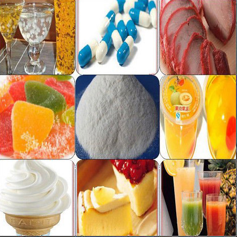 Theo như kết quả nghiên cứu được công bố năm 2001, sử dụng Carrageenan biến chất với một lượng lớn có khả năng bào mòn thành ruột của một số loài động vật gặm nhấm và loài linh trưởng. Điều này khiến người tiêu dùng thực sự lo lắng.