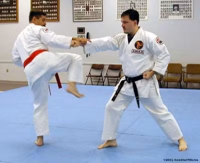 Karate hay Karate-Do là một môn võ thuật truyền thống của vùng Okinawa (Nhật Bản). Karate có tiếng là nghệ thuật chiến đấu với các đòn đặc trưng như đấm, đá, cú đánh cùi chỏ, đầu gối và các kỹ thuật đánh bằng bàn tay mở. Trong Karate còn có các kỹ thuật đấm móc, các kỹ thuật đấm đá liên hoàn, các đòn khóa, chặn, né, quật ngã và những miếng đánh vào chỗ hiểm. Để tăng sức cho các động tác tấn đỡ, Karate sử dụng kỹ thuật xoay hông để tập trung lực năng lượng toàn cơ thể vào thời điểm tác động của cú đánh. Ảnh: Howstuffworks.