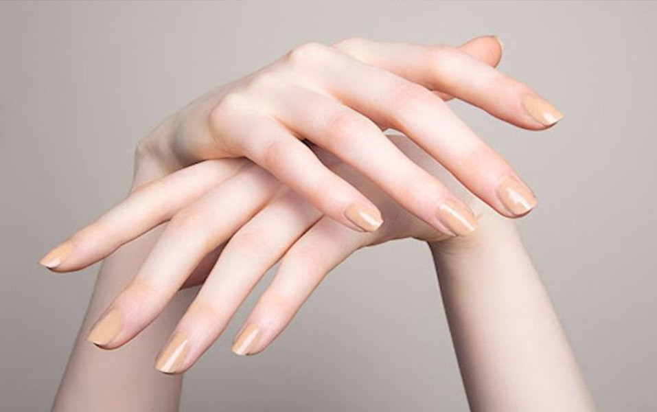 Người sở hữu ngón tay thon dài thường có tài cao, chí lớn, có thể gây dựng sự nghiệp thành công. Không phân biệt nam hay nữ, chỉ cần những người này chú tâm làm việc, dựa vào năng lực của bản thân thì nhất định sự nghiệp của họ sẽ phát triển vượt bậc vào độ tuổi trung niên.