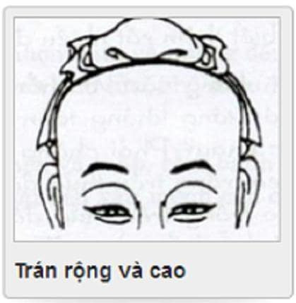  Bên cạnh đó thì giữa trán được gọi là chính quan. Nay chính quan càng rộng mở, càng nảy nở thì chứng tỏ rằng đường quan lộc đường công danh sự nghiệp vô cùng rực rỡ, sáng sủa.