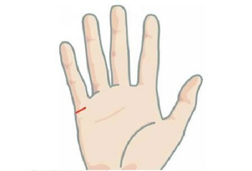  Dưới ngón út có đường vân đâm thẳng, và rõ ràng: Trong thuật xem chỉ tay, dưới ngón út đại diện cho năng lực kiếm tiền, khả năng kiểm soát cũng như sự nhạy bén về tiền bạc. 