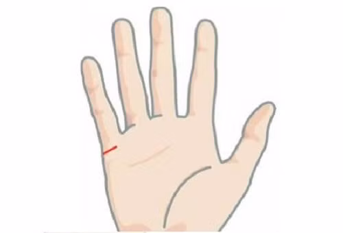  Dưới ngón út có đường vân đâm thẳng, và rõ ràng: Trong thuật xem chỉ tay, dưới ngón út đại diện cho năng lực kiếm tiền, khả năng kiểm soát cũng như sự nhạy bén về tiền bạc. 