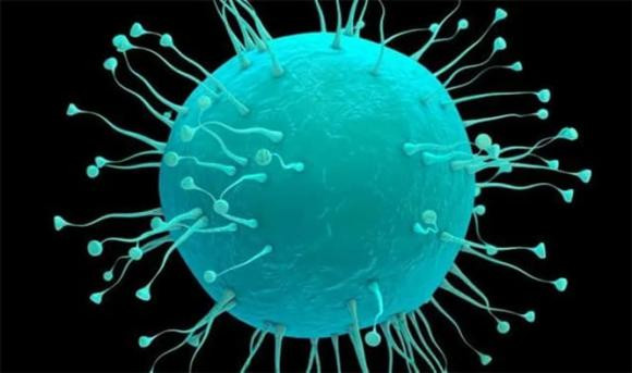 Các nhà khoa học đã phát hiện ra 32 loại virus thời tiền sử trên cao nguyên Thanh Hải - Tây Tạng. DNA của 4 loại virus được con người biết đến và 28 loại còn lại con người chưa biết đến.